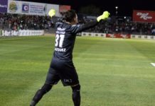 Bravos por encima de la fiera