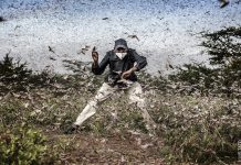 Conoce a los nominados a la mejor foto del año del World Press Photo 2021