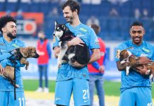 Zenit y su campaña de adopción