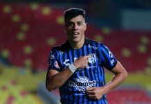 Gallos Blancos ya tendrían un posible comprador