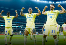 Animal de Liguillas #ClubAmerica rumbo a la 14