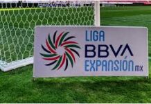 Ellos son los entrenadores de la Liga de Expansión Mx