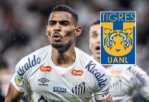 Joaquim Pereira se convierte en el segundo refuerzo de Tigres para el Apertura 2024